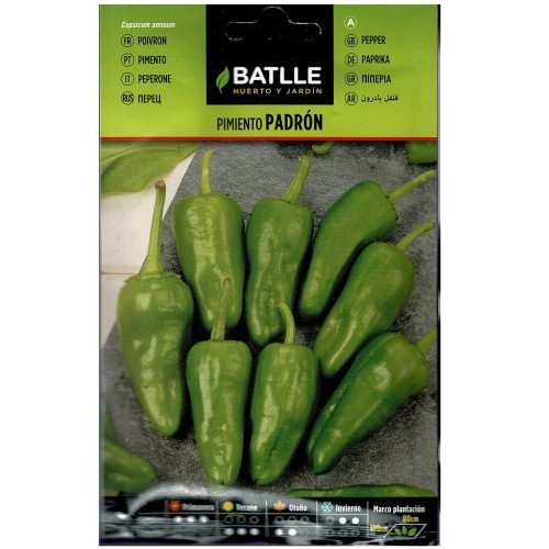 Padrón Pepper Seeds