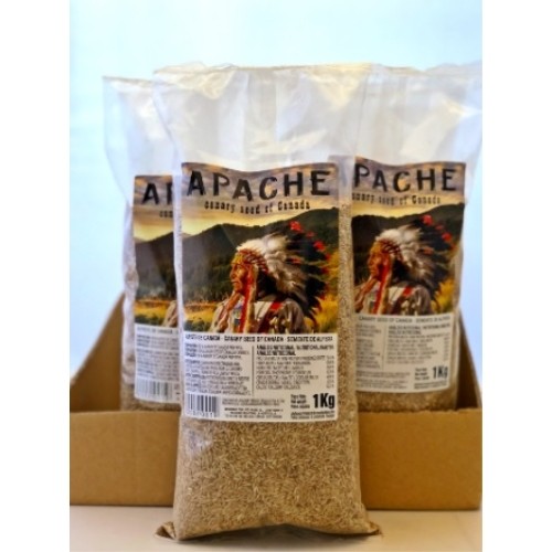 Alpiste Canadá Apache 25 Kg
