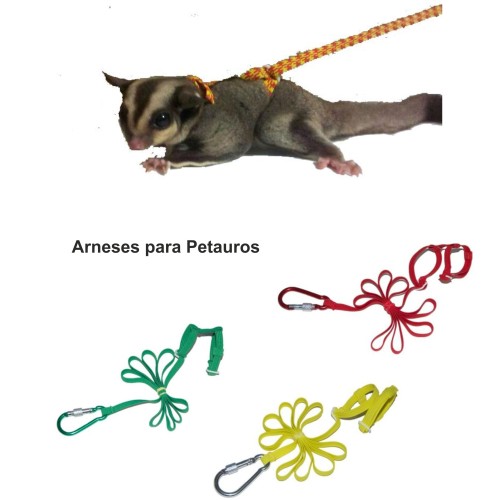 Arnés Para Petauros