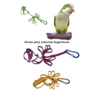 Harness for Argentine Parrot with Leash