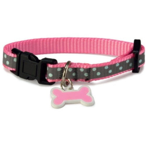 Collar Perro Reflectante Azul 1,6x25/35cm