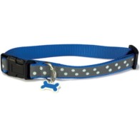 Collar Perro Reflectante Azul 1,6x25/35cm