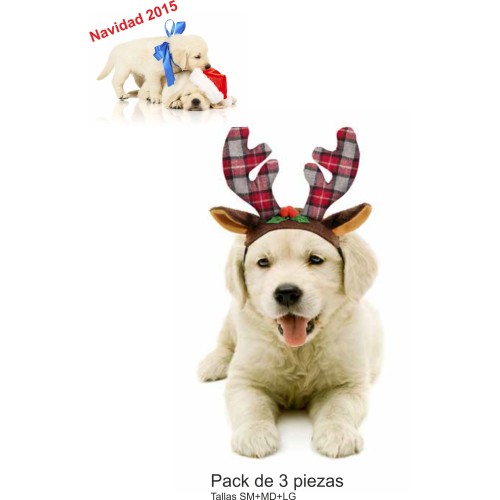 Reindeer Antler Pack 3 Durable Pieces