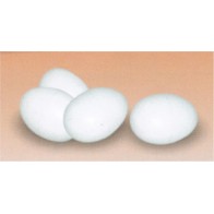 Plastic Chicken Eggs Nesting Training