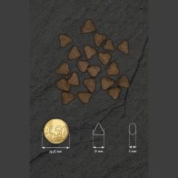 Alimento Digestivo para Cachorros Optima Nova