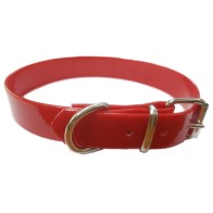 Biothane Collar with Spanish Flag 60cm Stylish Durable