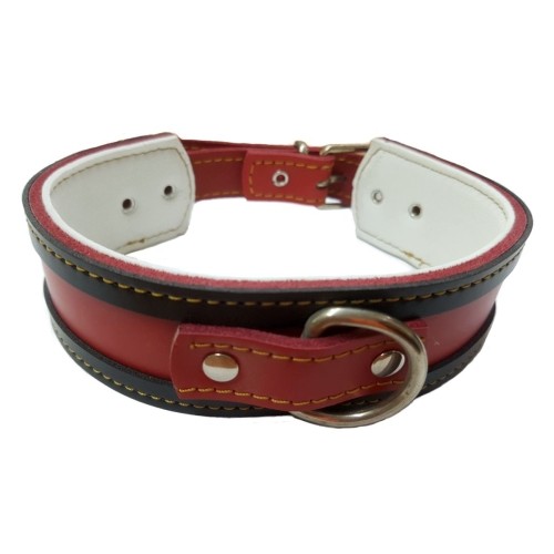 Collar Galgo Rojo 50x4cm