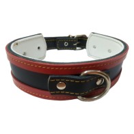 Red Greyhound Collar 50x4cm