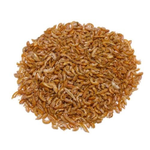 Gammarus Prodac 30Gr