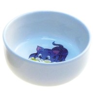 Ceramic Bowl for Young Cats