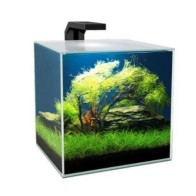 Acuario Cube Aqua 10 Lts Con Filtro Cf20