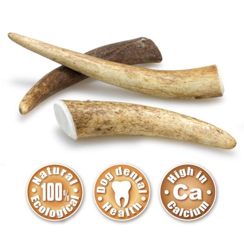 Masticar Natural Asta De Ciervo M 40-75 Gr para Perros