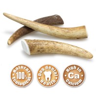 Masticar Natural Asta De Ciervo M 40-75 Gr para Perros