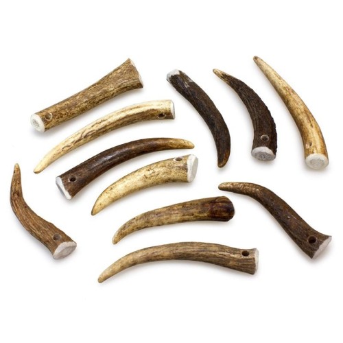 Masticar Natural Asta De Ciervo M 40-75 Gr para Perros
