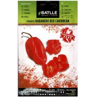 Red Caribbean Habanero Pepper
