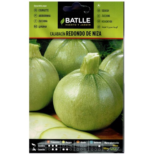 Round Zucchini Seeds for Vegetable Gardens
