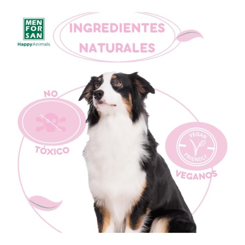 Anti-Urine Spray for Dogs and Cats 500ml