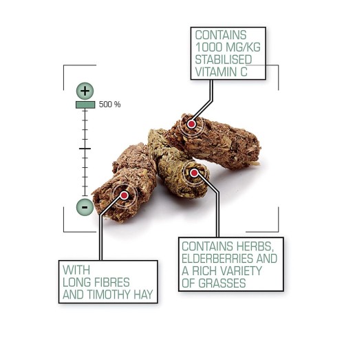 Complete Cavia Feed for Guinea Pigs 500g | Nutritional Balance