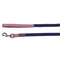 X-trm Premium Double Lead Blue-Pink