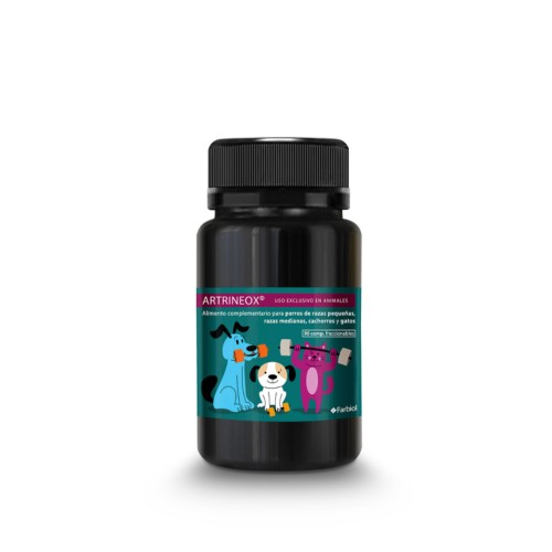 Joint Health Supplement for Pets