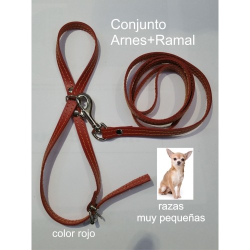 Arnés Y Amarre Para Razas Pequeñas Beige