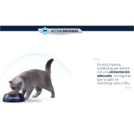 Advance Cat Sterilized Turkey 10 Kg.