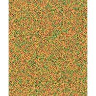 Nutribird B14 Complete Food 800g Parakeets