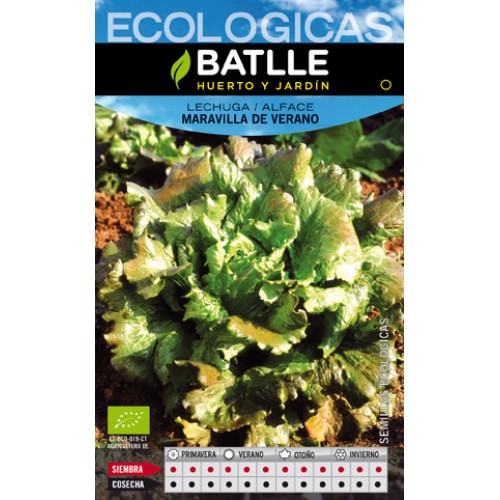 Lechuga Maravilla De Verano Eco