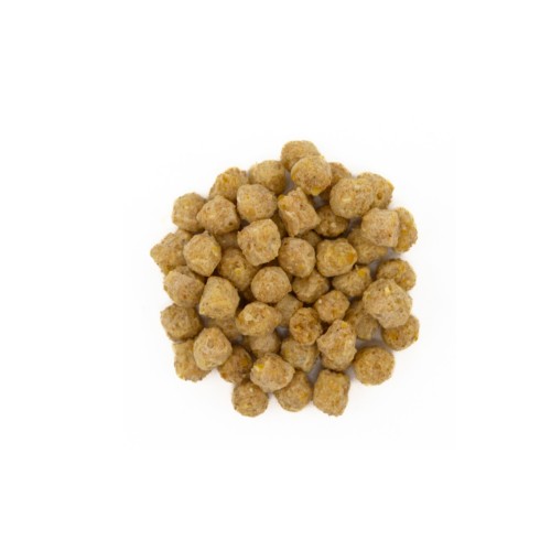 Zupreem Essentials M 1 Kg. Ninfas