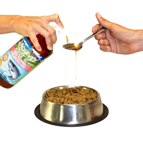 Aceite de Salmón 250ml Arquivet