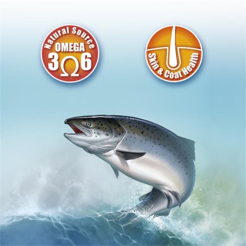 Aceite de Salmón 250ml Arquivet