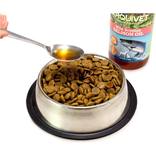 Aceite de Salmón 250ml Arquivet