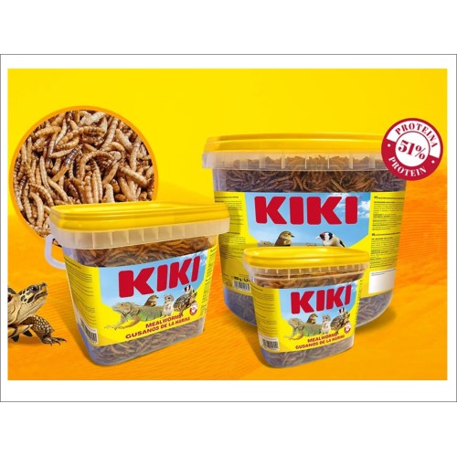 Mealworms 150g Nutritional Treat for Birds