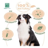 Menforsan Champú Aceite De Argán 300ml Fórmula Revitalizante