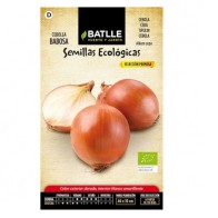 Cebolla Babosa Ecológicas Sobre