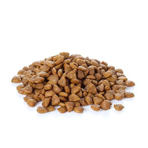 Banters Adult Large Breed Dog Food 15 Kg