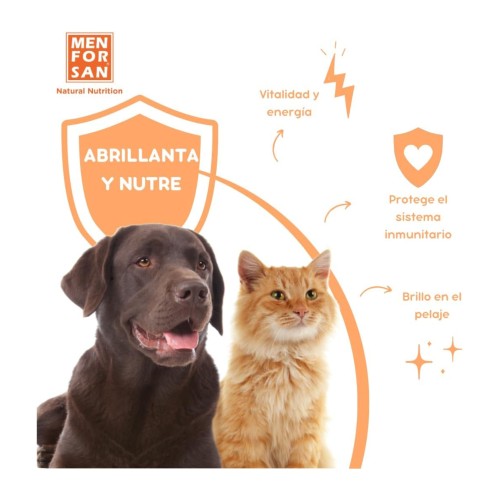 Salmon Oil 500ml - Essential for Dogs and Cats Health