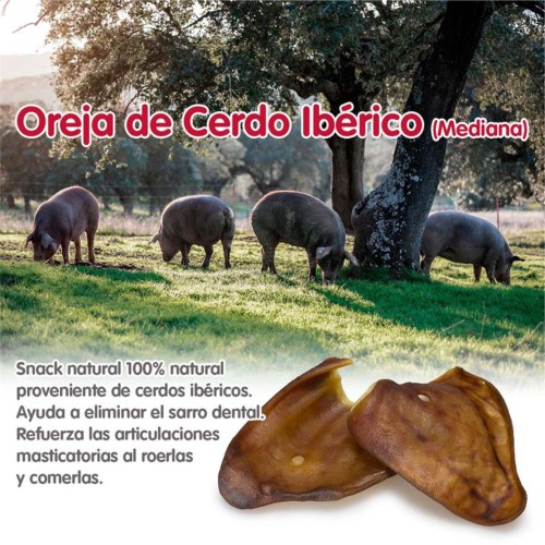 Iberian Pig Ears Medium - 30 pcs