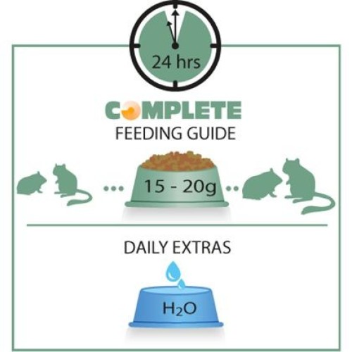 Hamster & Gerbil Complete 500gr. Alimento Nutritivo