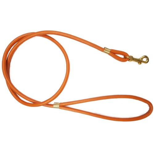 Orange Faux Leather Leash Stylish and Durable