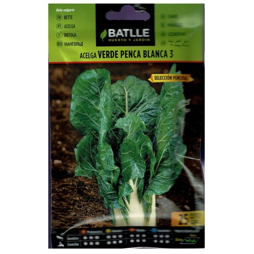 Green White Chard Seed Packet
