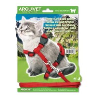 Kitten Harness + Leash 35/44cm