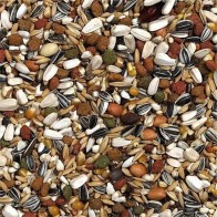 Mezcla de Alto Calidad para Loros Africanos 2.5 Kg