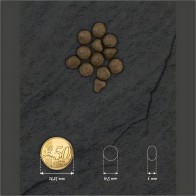 Optima Nova Cat Adult Salmón Patata 2 Kg - Comida Premium para Gatos