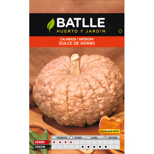 Sweet Pumpkin for Baking - Cucurbita Sp. Seeds