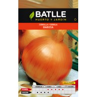 Bulb Onion Seeds - Sweet and Versatile