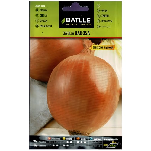 Bulb Onion Seeds - Sweet and Versatile