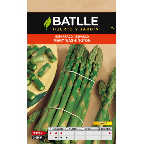 Mary Washington Green Asparagus Seeds - Grow Your Own