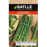 Mary Washington Green Asparagus Seeds - Grow Your Own