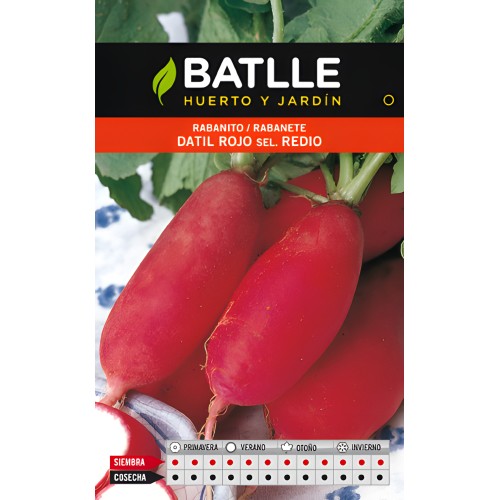 Semillas de Rábano Datil Rojo Batlle